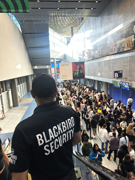 Taylor Swift Eras Tour Toronto. Retail Security in Toronto.