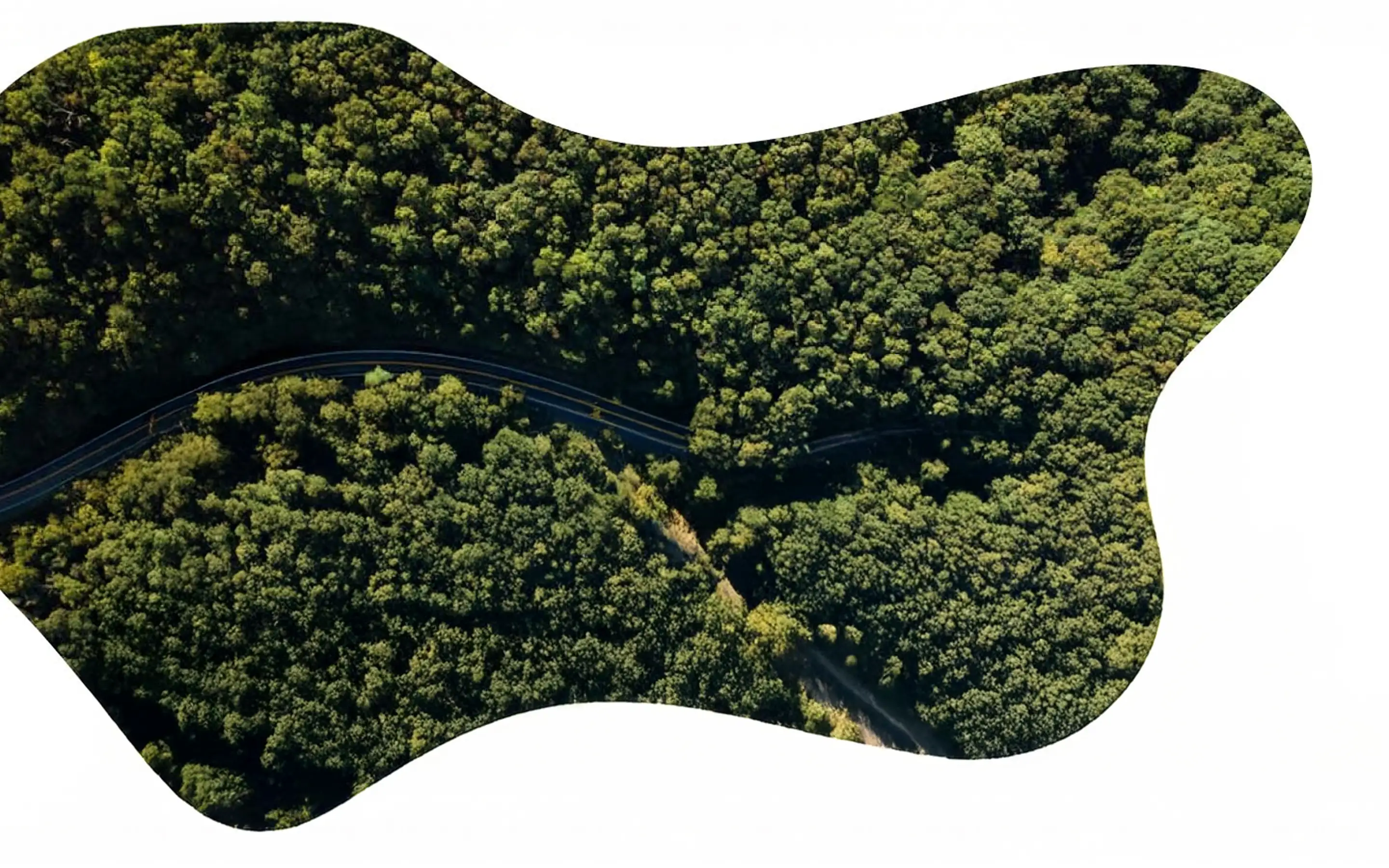 Ethical branding - Building brands with purpose