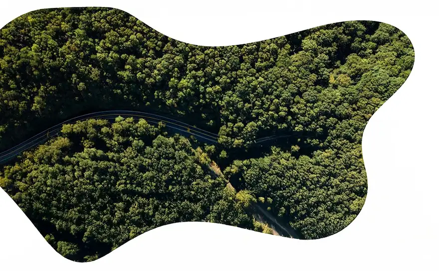 Ethical branding - Building brands with purpose