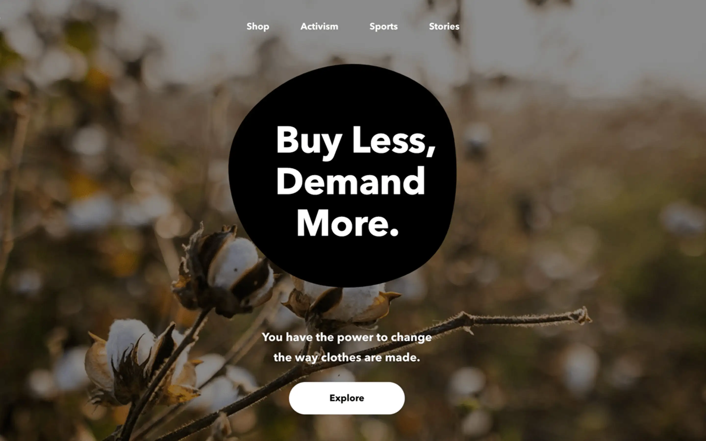 Screen of Patagonia website cover