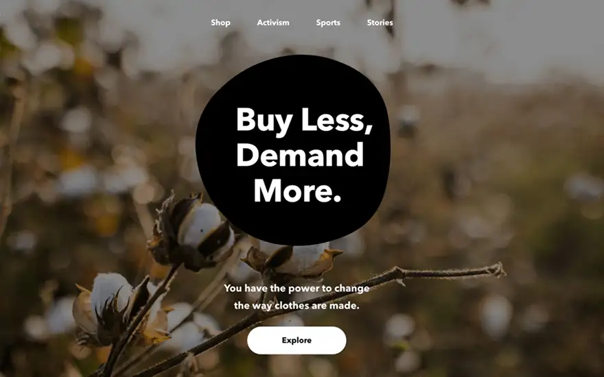 Screen of Patagonia website cover