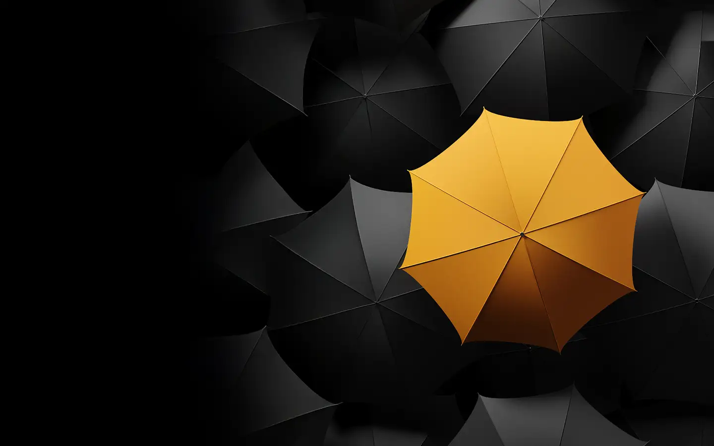 Building bold brand differentiation for your startup