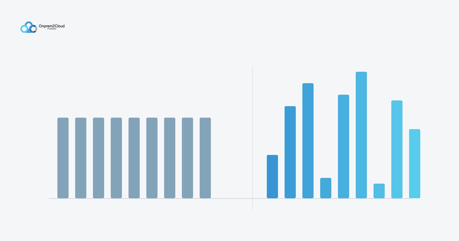 Uniform bars beside variable bars, contrasting fixed subscription cost with metered consumption