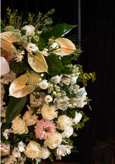 Arrangement of white and pale pink flowers with green foliage against a dark background.