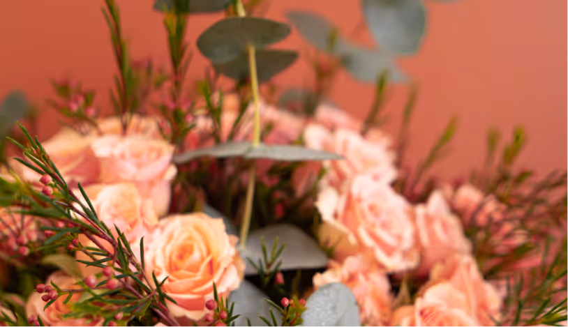 Close-up of a bouquet of pale pink roses mixed with green foliage against a soft coral background.