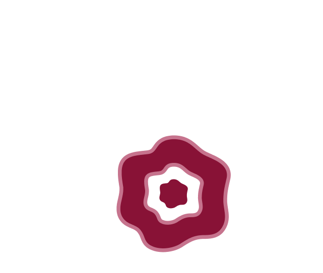 Stylized six-petal orange flower shape with a smaller similar shape in the center on a black background.