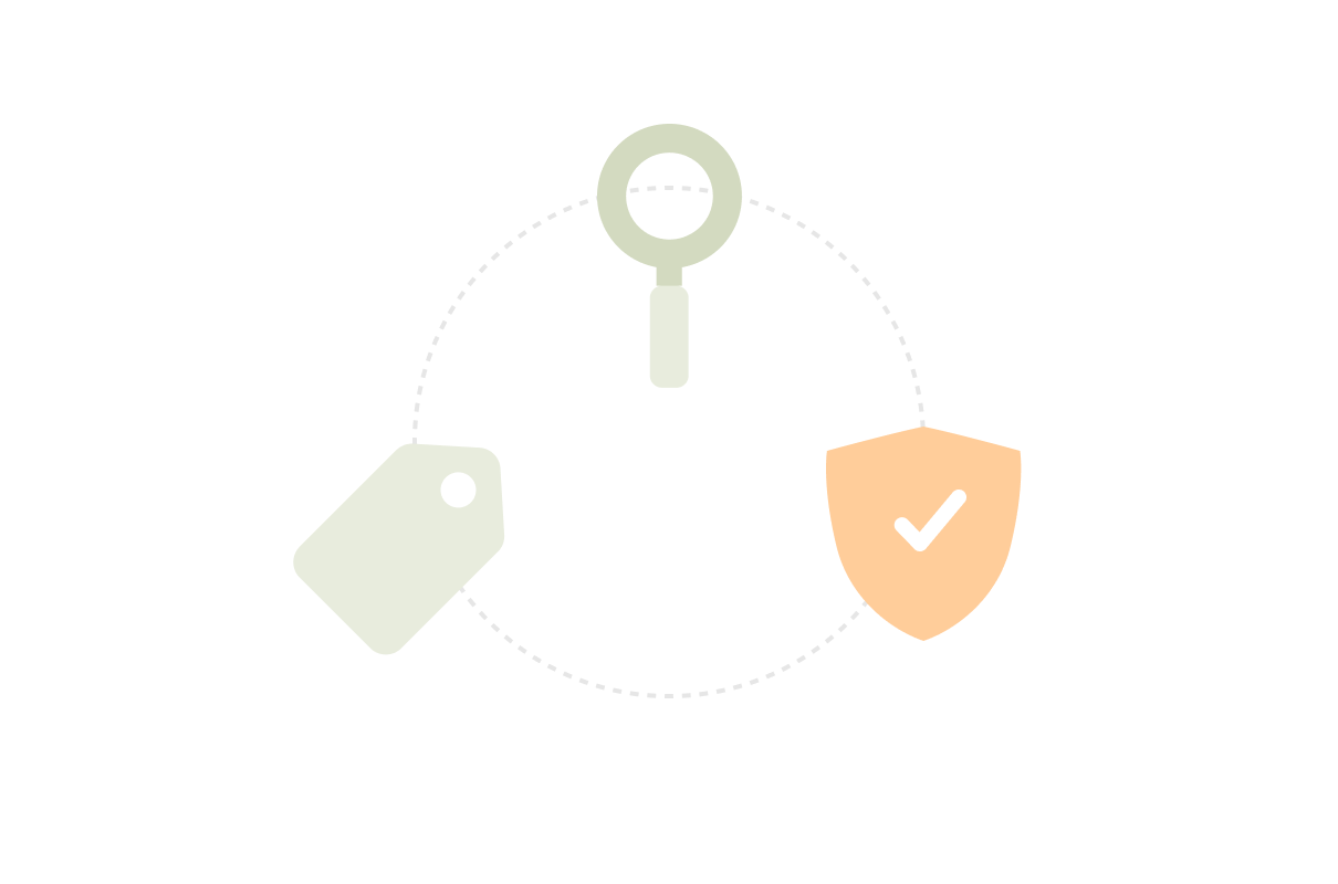 Transparent Pricing, Targeted Support – Markify