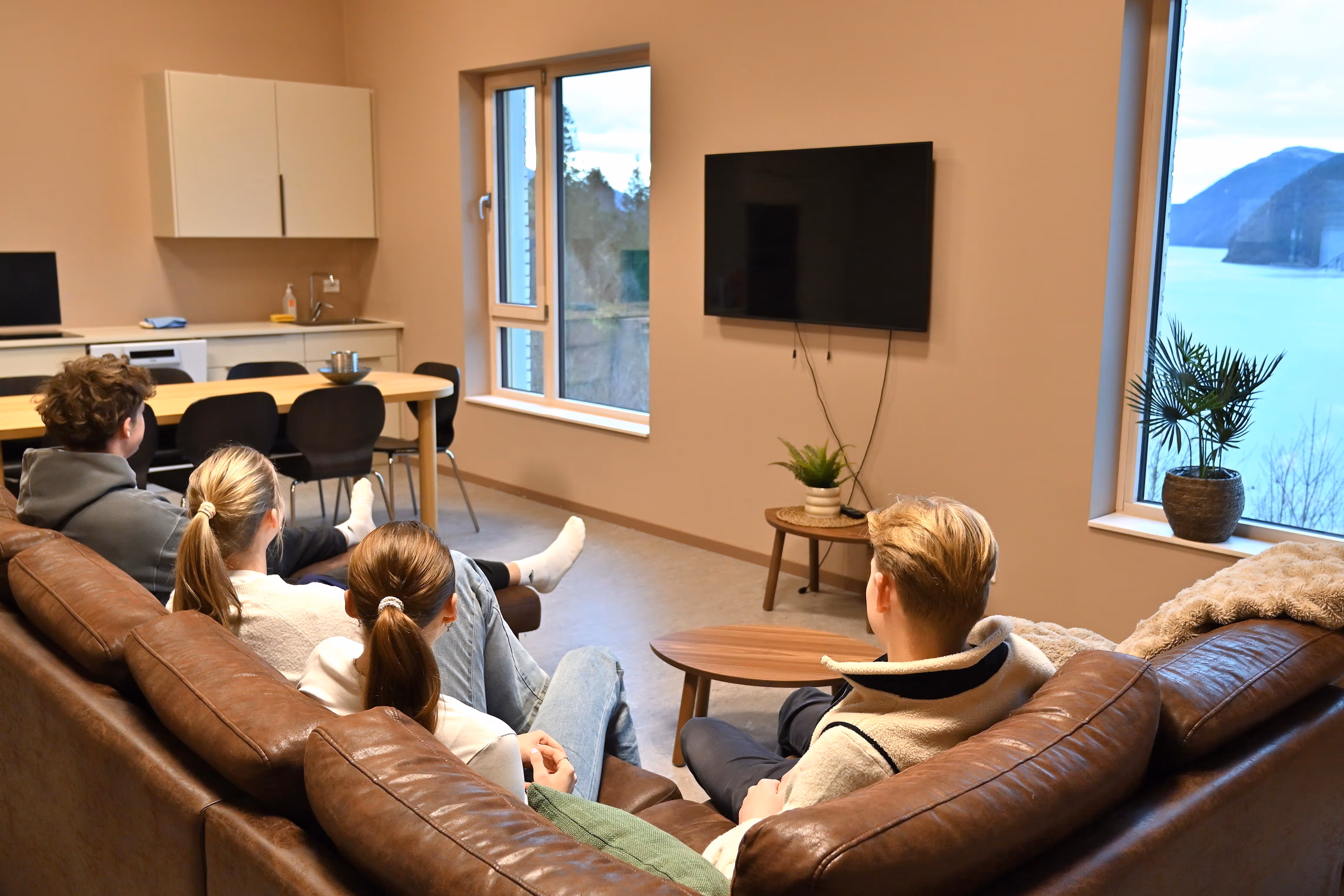 Fire personar sit i ein brun skinnsofa i eit moderne opphaldsrom med TV på veggen og vindauge med utsikt mot fjord og fjell.