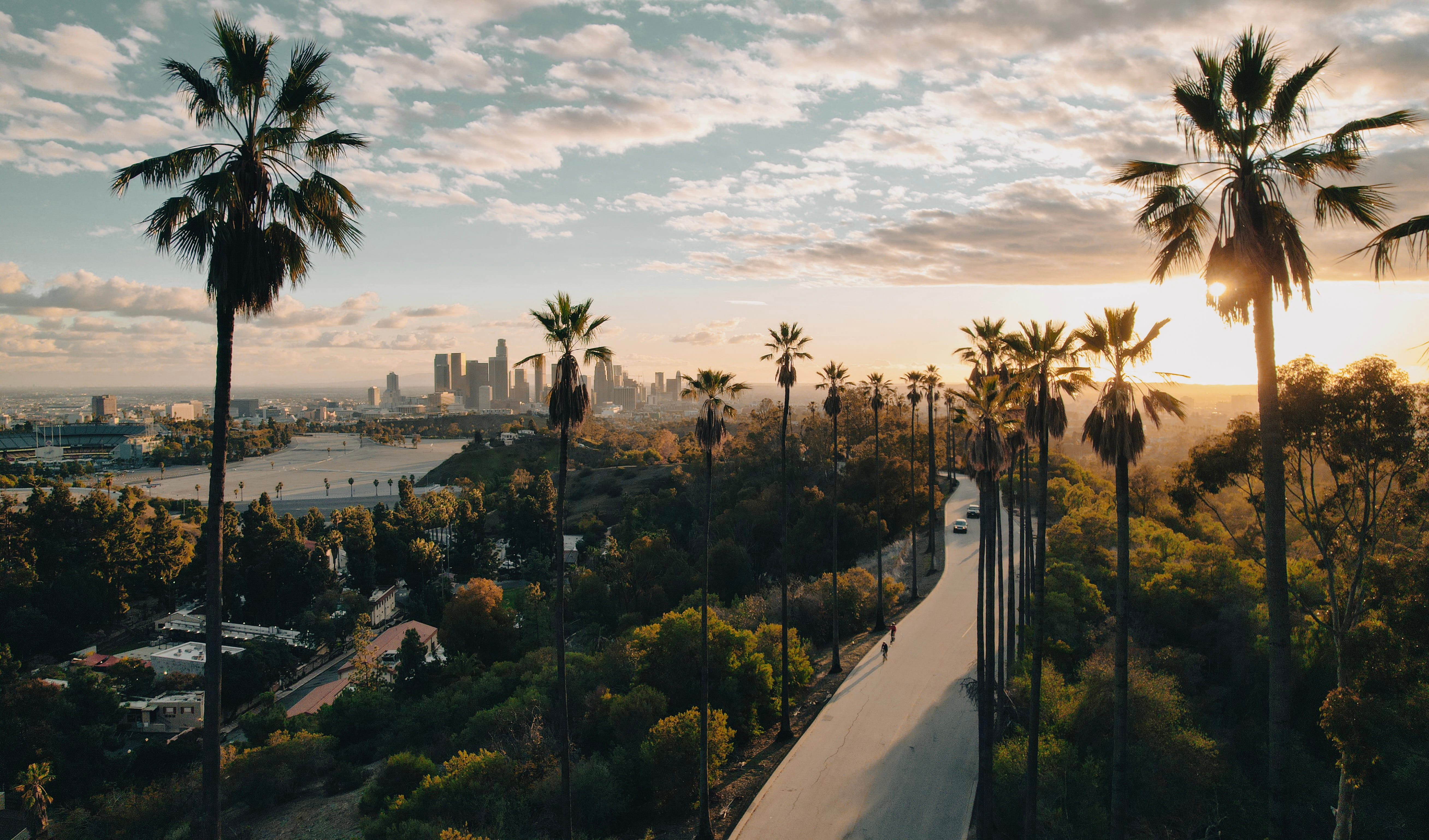 View of LA road with palm trees and city in the background.