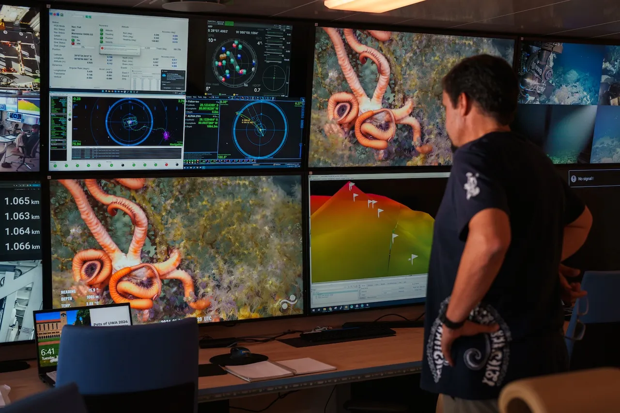 Man observing multiple large monitors displaying underwater images of orange brittle stars on the seafloor along with navigational and mapping data in a control room.