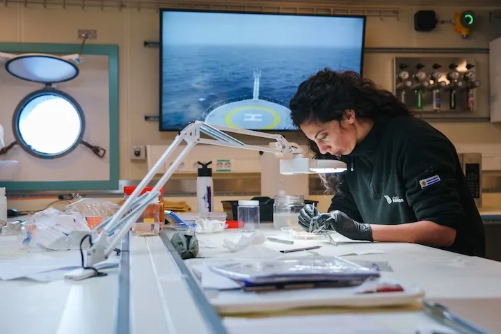 Scientist wearing black gloves closely examining a sample on a lab table with a magnifying lamp in a well-lit laboratory.