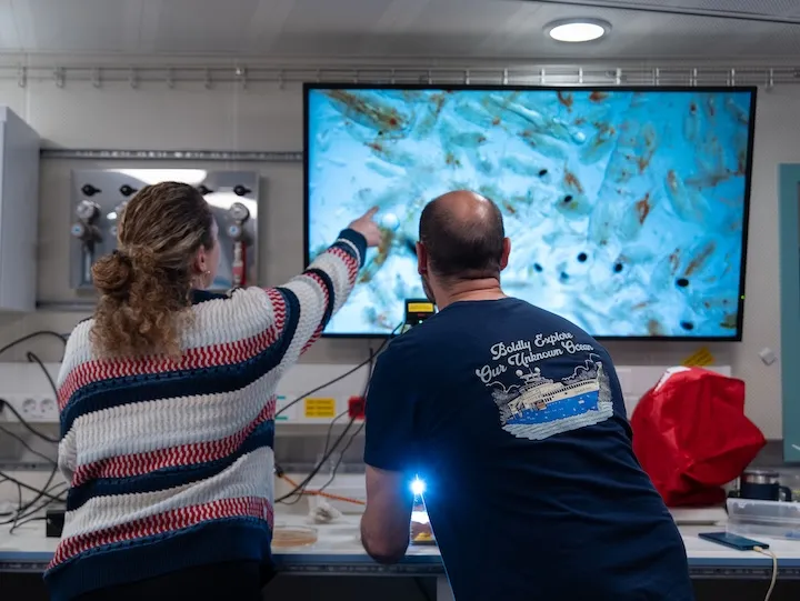 Two people in a lab observing and pointing at microscopic images displayed on a large screen.