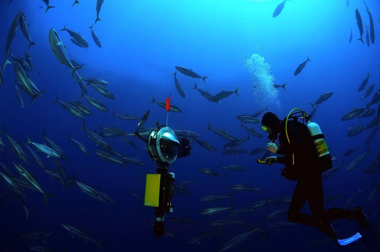 Scuba diver underwater surrounded by a school of fish, inspecting a yellow underwater camera device with a red flag.