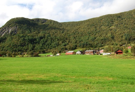 Grungedal