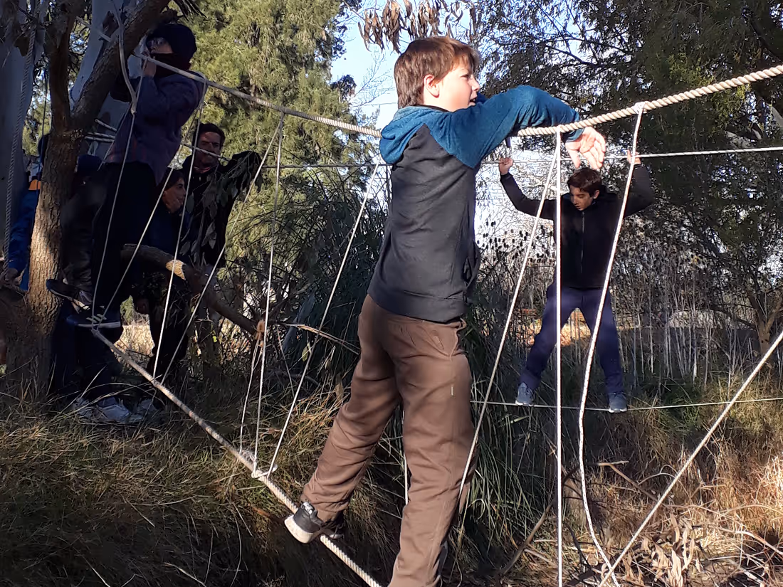 Children playing on a rope bridge in a wooded outdoor area during the day.