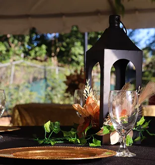 Outdoor table setting with a black lantern centerpiece, decorative greenery, and a clear wine glass on a black tablecloth.