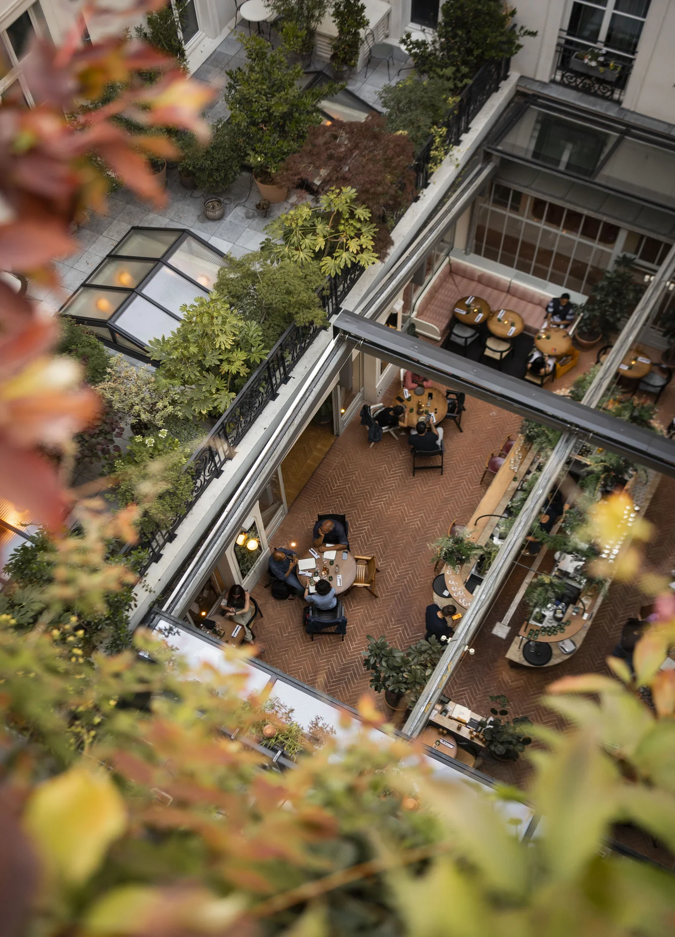 Aerial view of a courtyard café with people seated at wooden tables surrounded by plants and greenery.