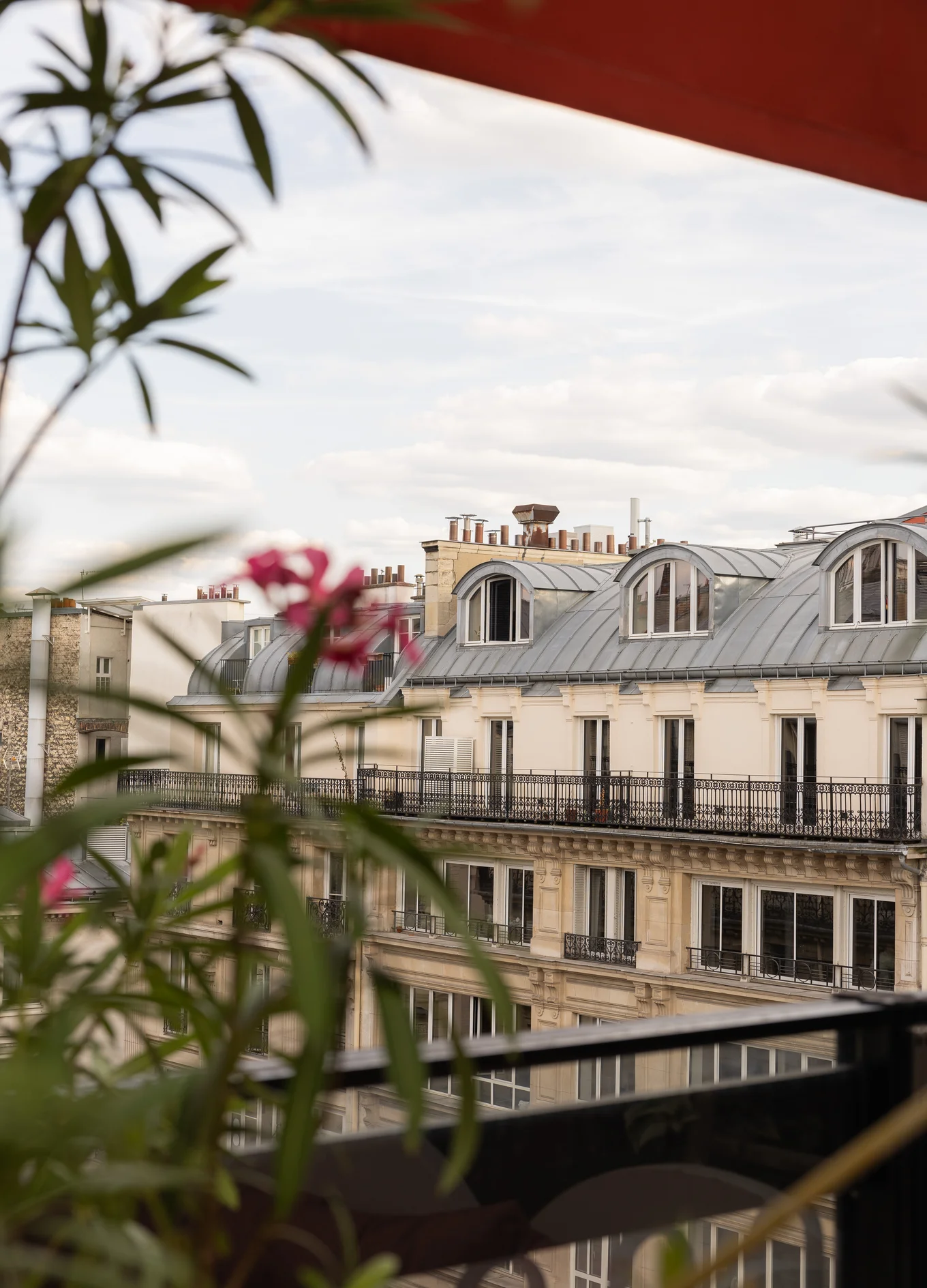 View of elegant residential building rooftops with arched dormer windows, seen through blurred green plants with pink flowers.