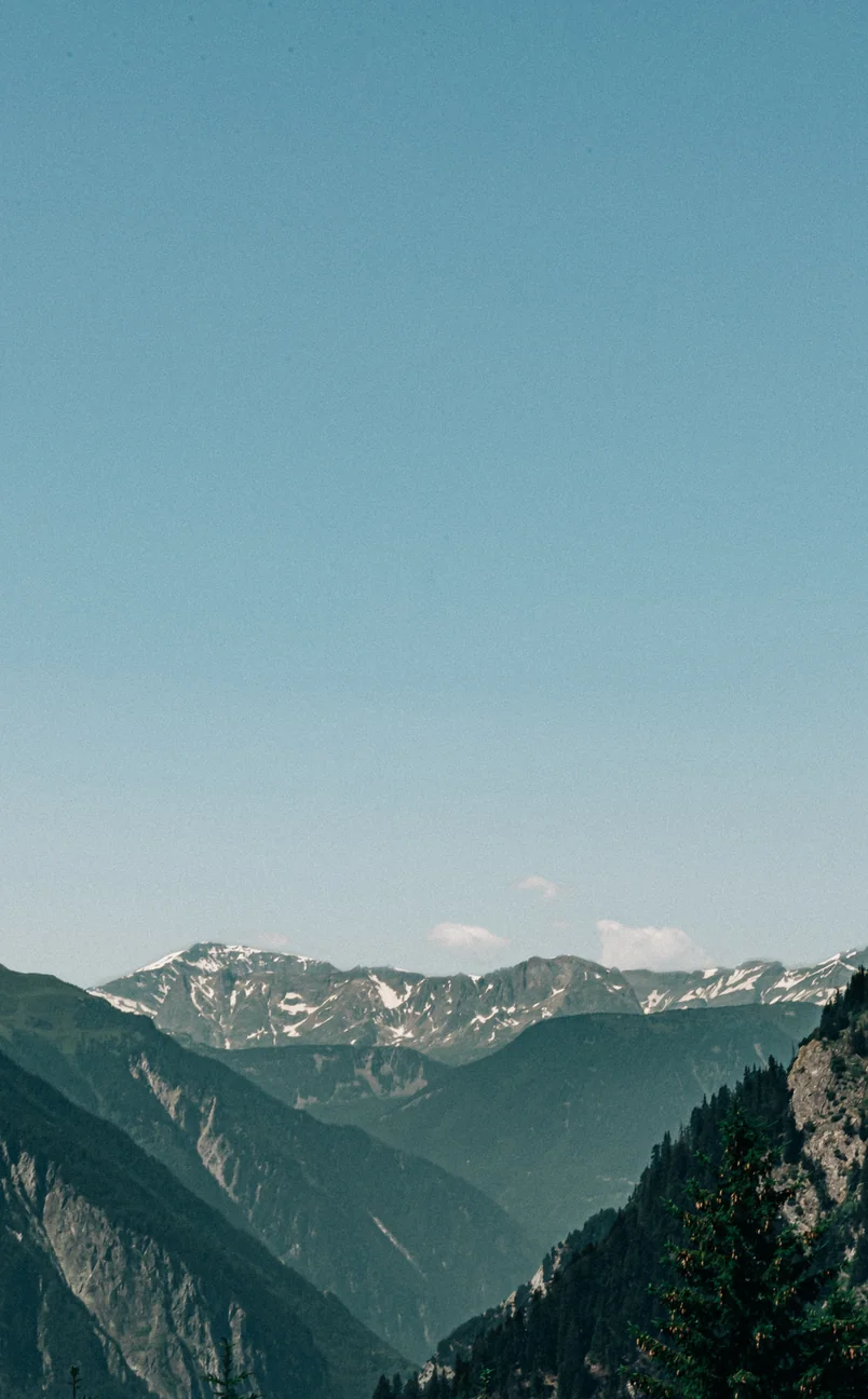 Distant snow-capped mountain range with forested hills in the foreground under a clear blue sky.