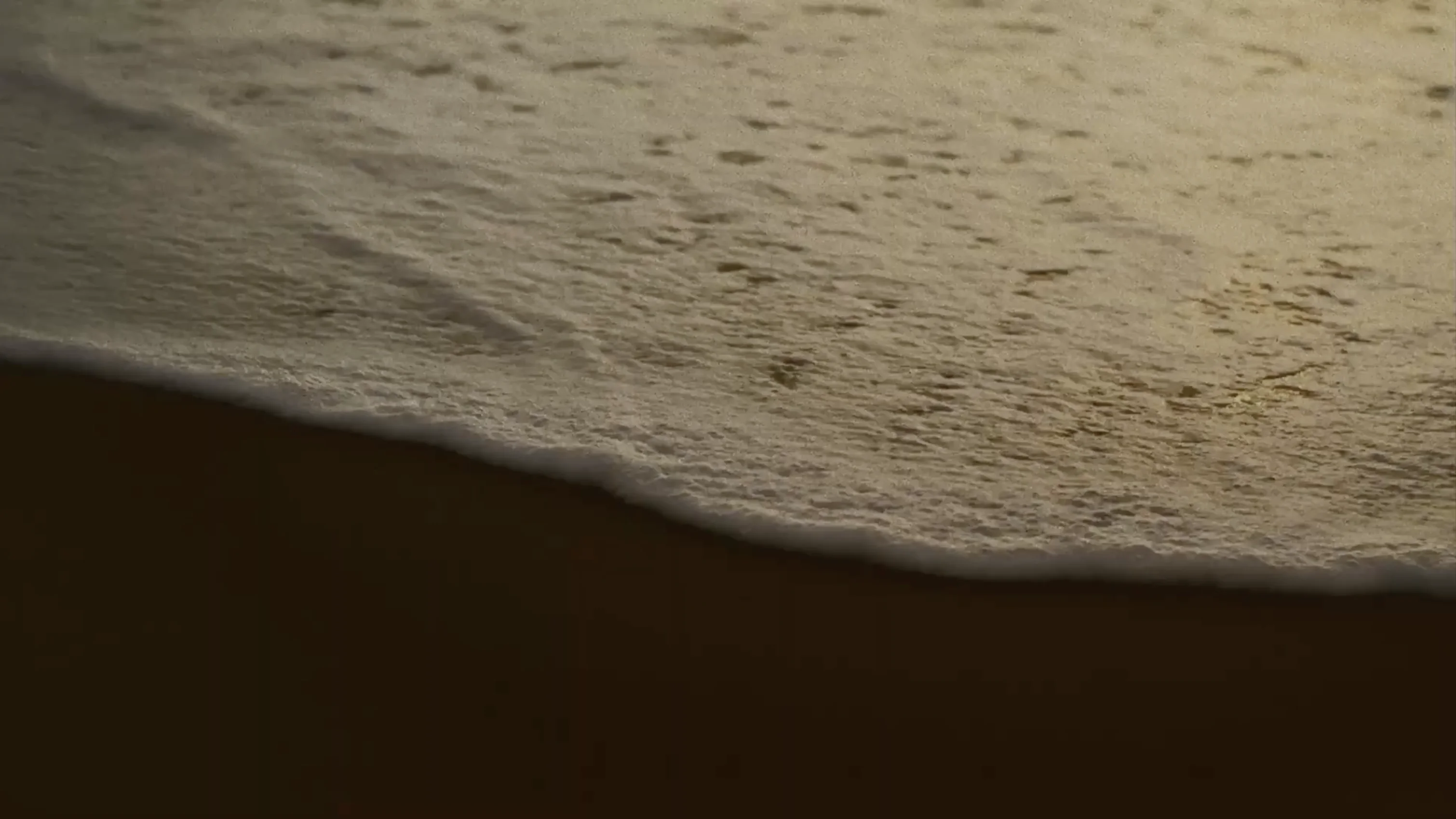 Close-up of gentle ocean waves washing onto a dark sandy beach in soft golden light.