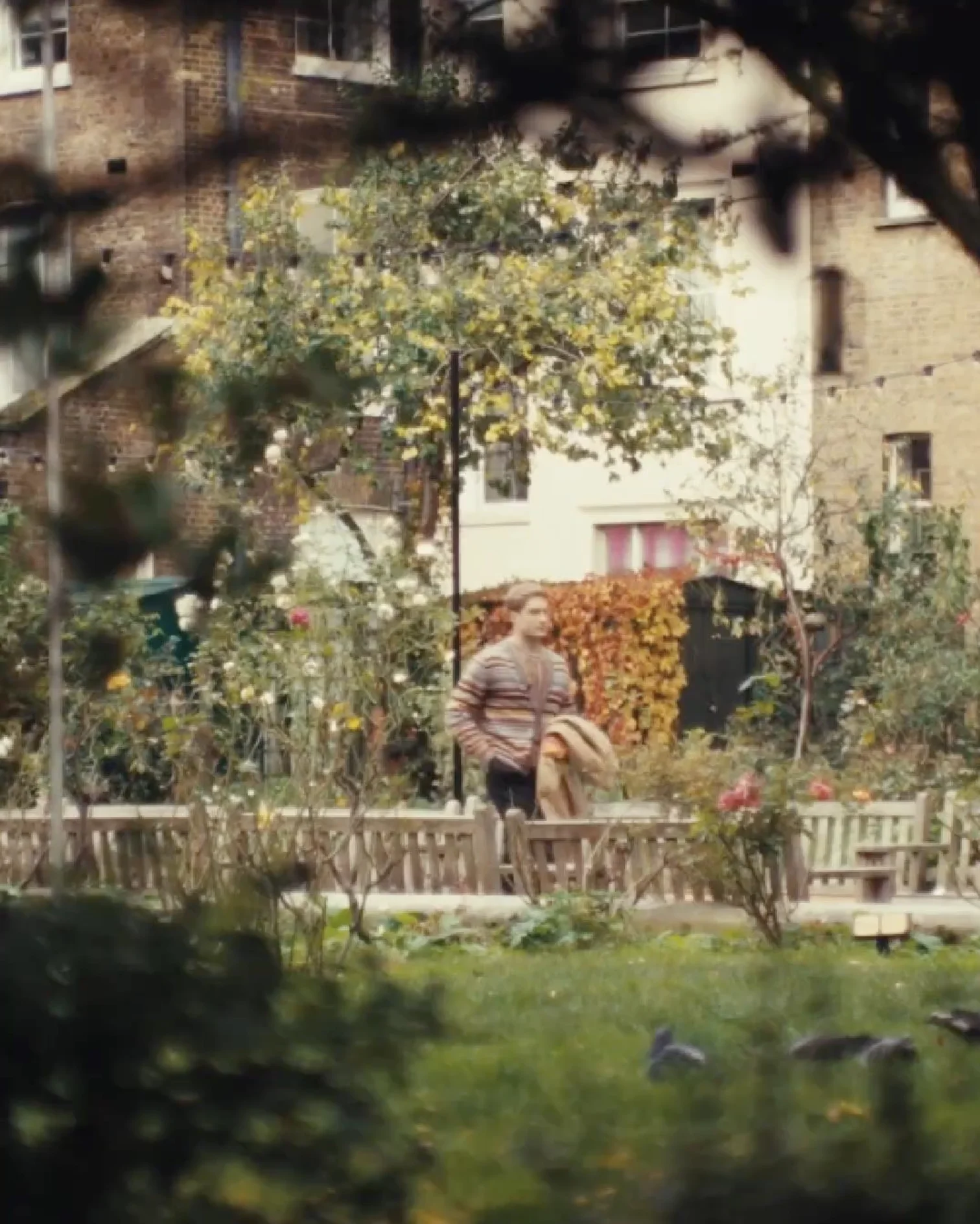 Person walking in a garden with green grass, flowers, benches, and brick houses in the background.