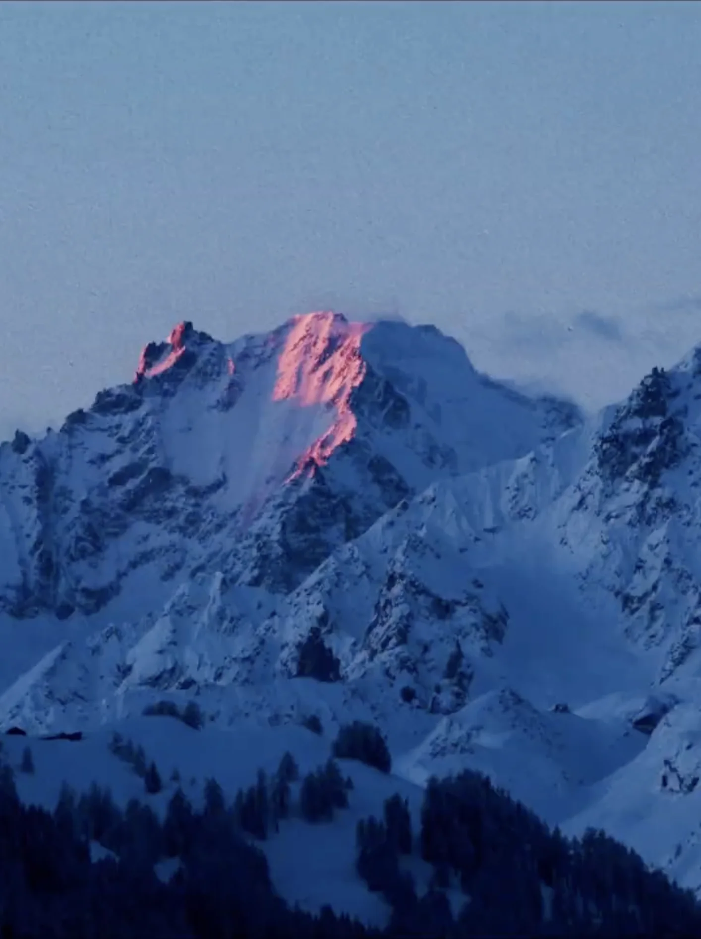Snow-covered mountain peak illuminated by pink light at sunrise or sunset, with dark forested slopes below.