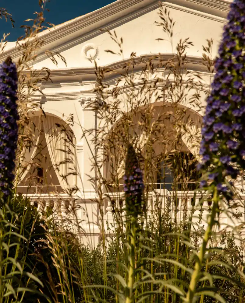 White classical building with arches and balcony behind tall purple flowers and grasses.