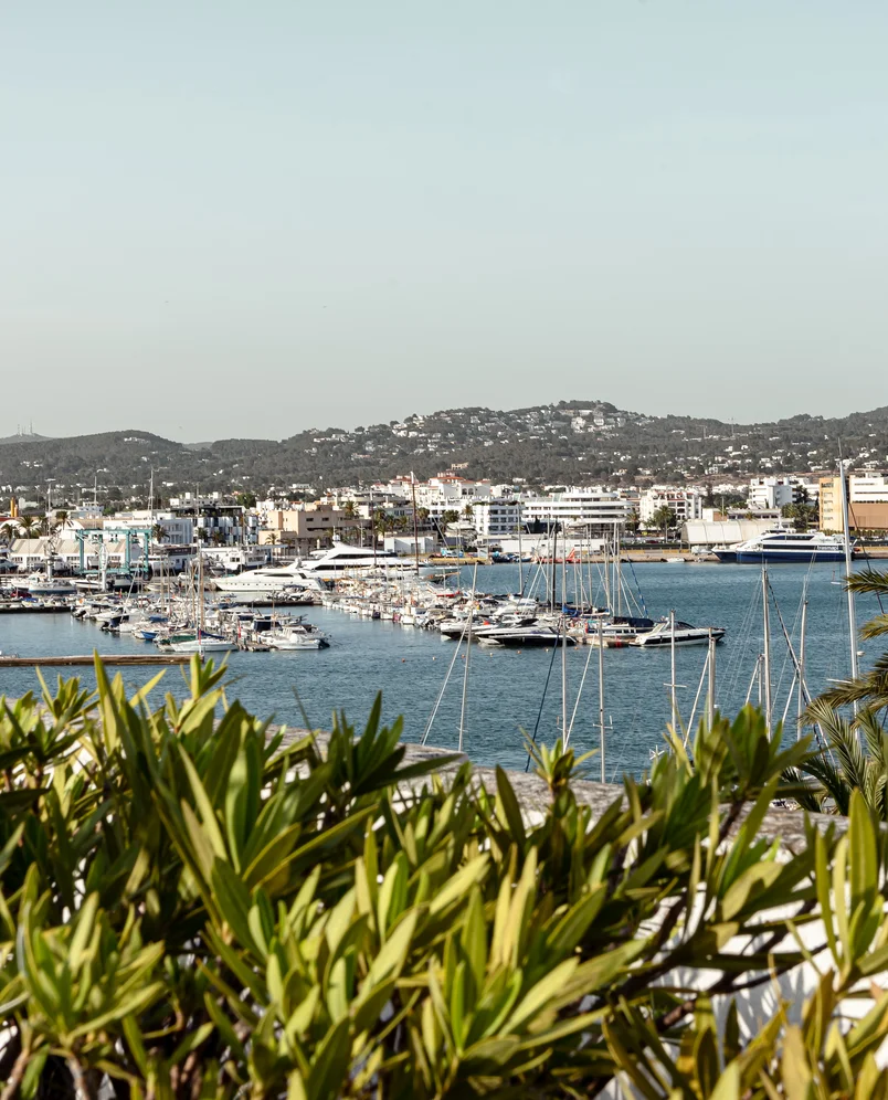 Marina filled with yachts and boats, with city buildings and green hills in the background under a clear sky.