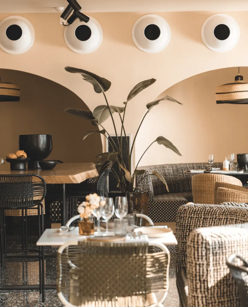 Accogliente interno del ristorante con moderne sedie intrecciate, tavoli apparecchiati con bicchieri, una grande pianta in vaso e illuminazione ambientale.