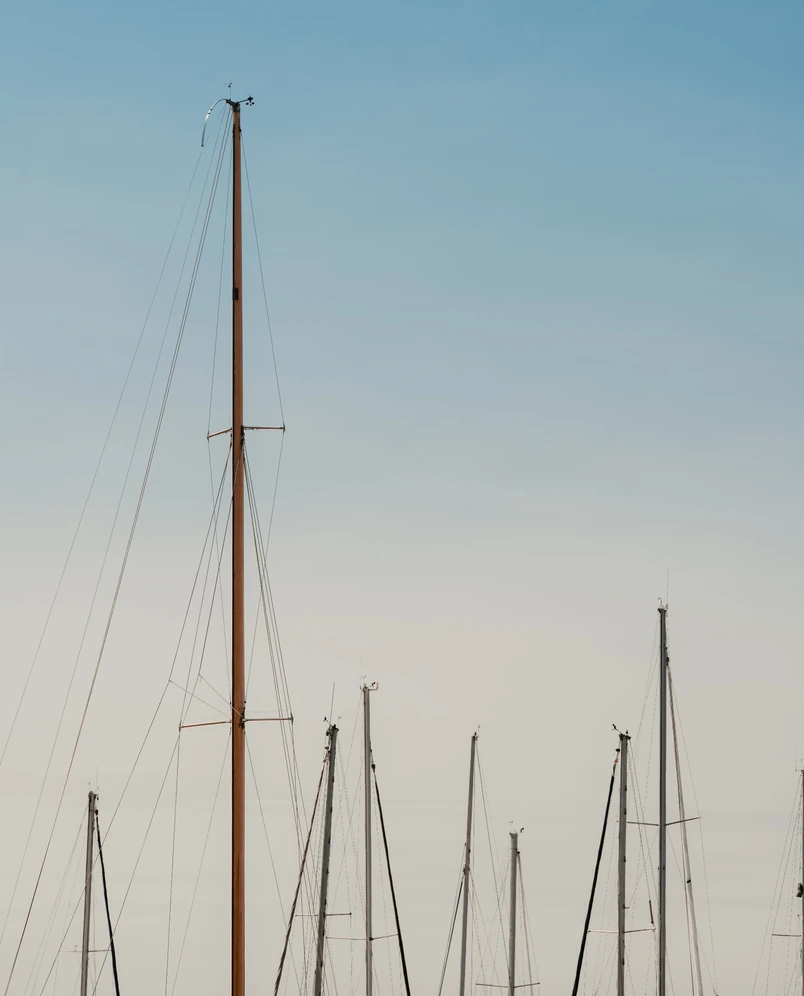 Detail of sailboat masts under a clear sky, Experimental Group, harbor view.