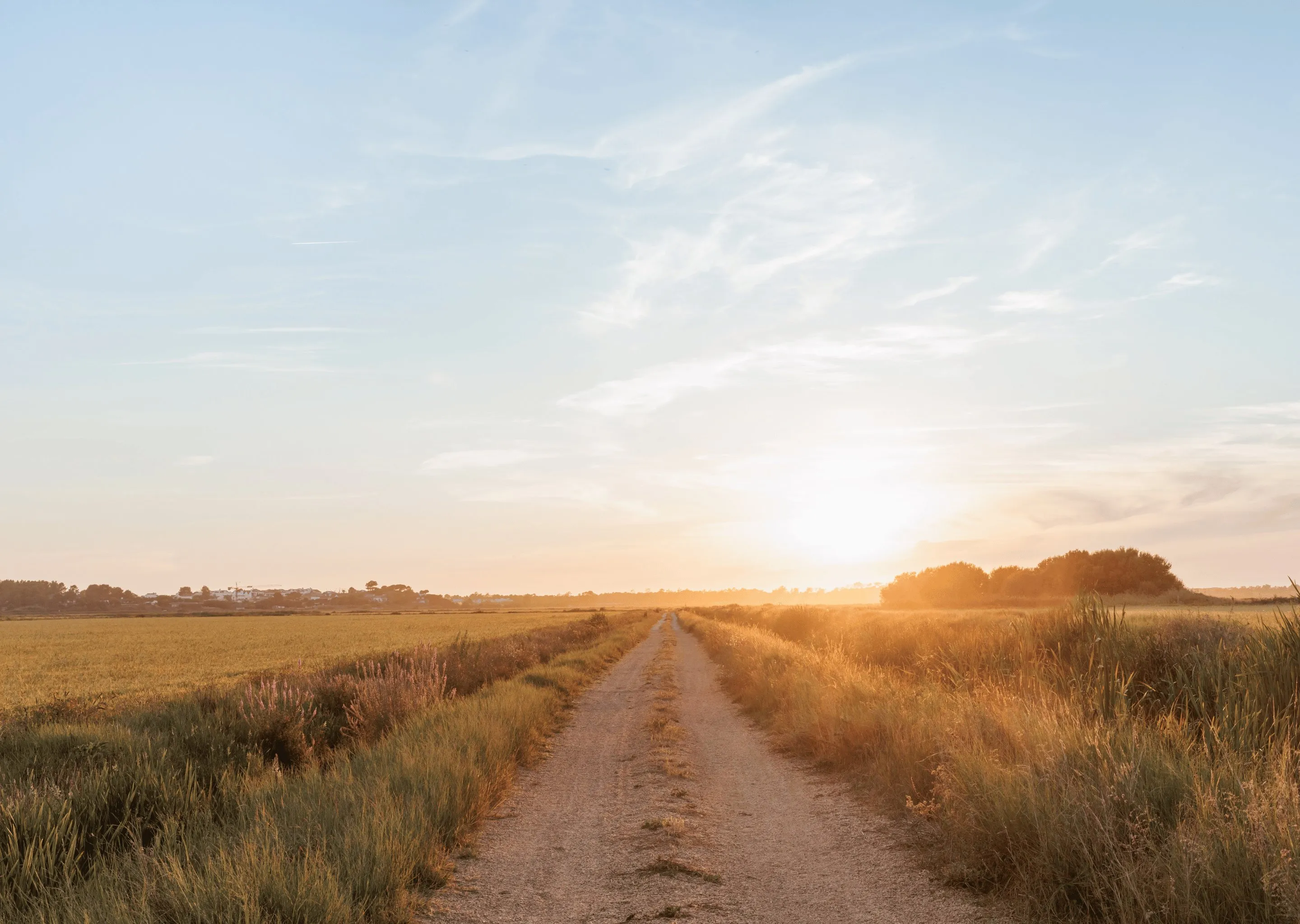 Scenic sunset over a rural dirt road leading through the golden landscape surrounding Comporta, Portugal, near the Experimental Group location.