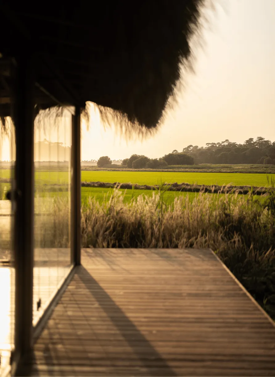 Wooden terrace with a view over the fields, Experimental Group.