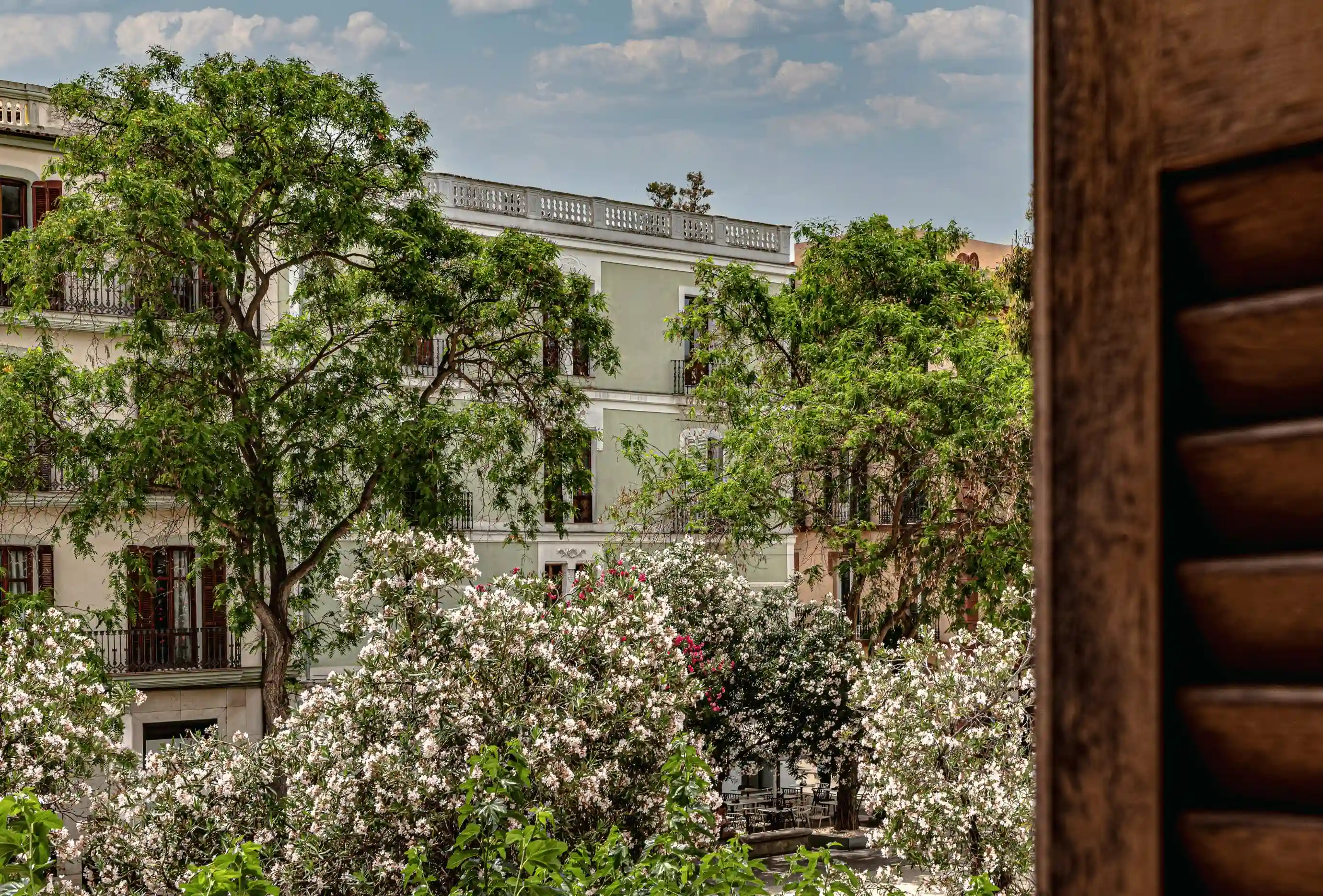 View of trees with white and pink flowers in front of historic buildings under a cloudy sky.