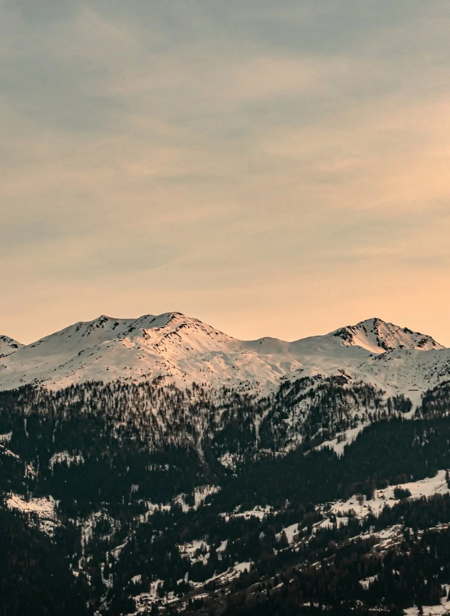 Snow-covered mountain peaks above a dense pine forest at sunset with a soft pastel sky.