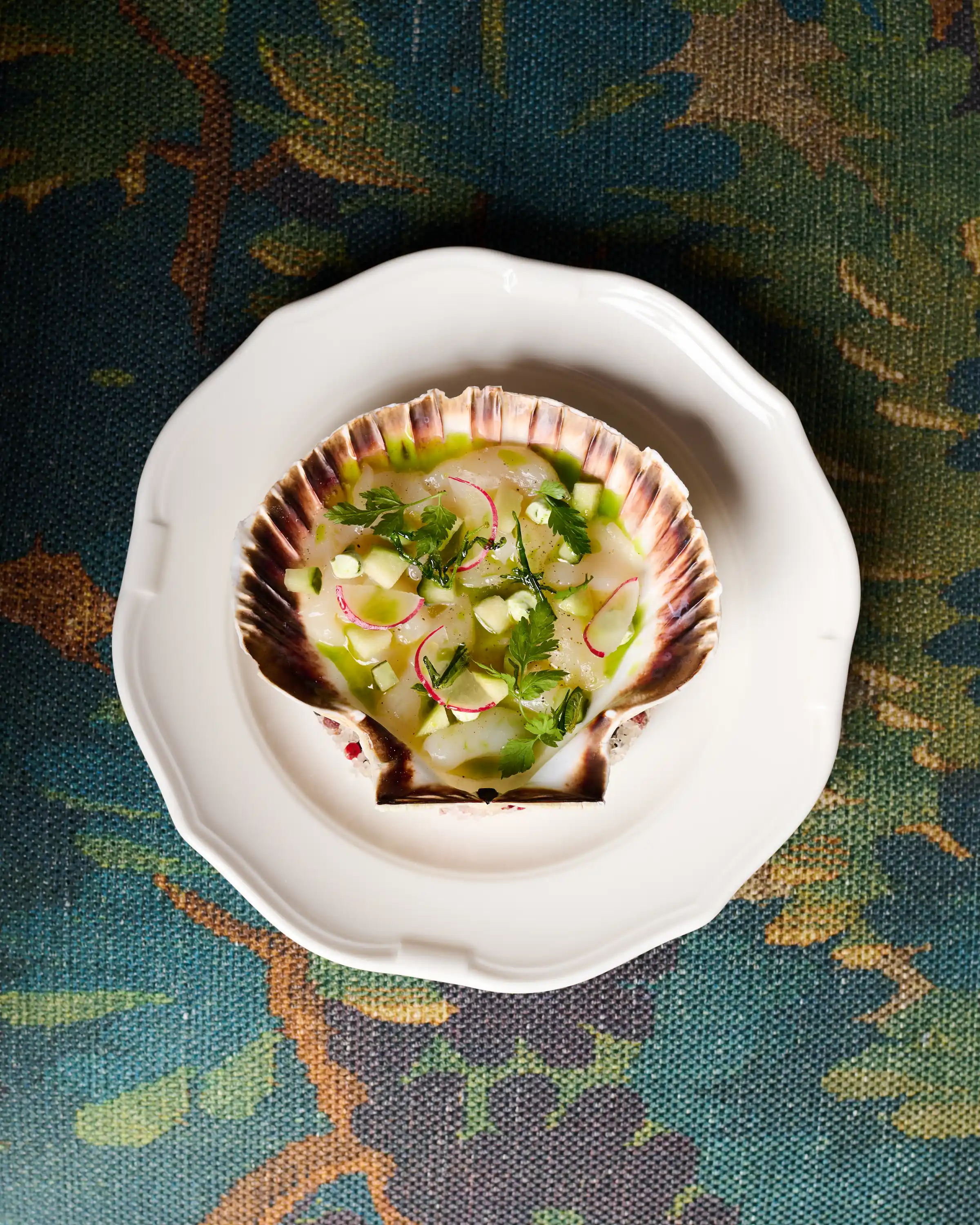 Scallop shell with seafood ceviche garnished with herbs and thin radish slices on white plate.