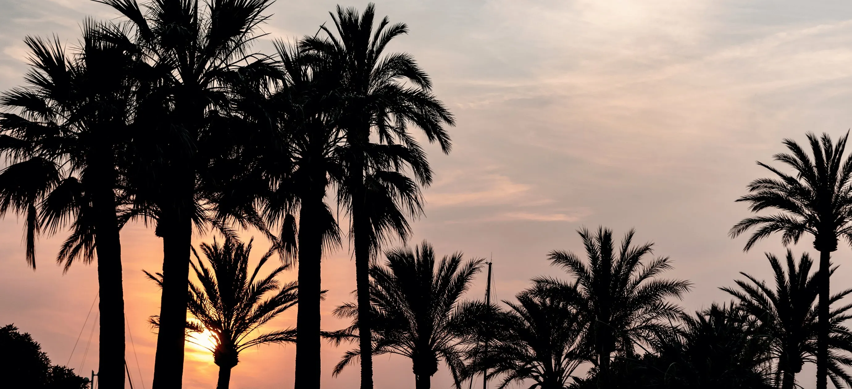 Siluetas de palmeras contra un colorido cielo al atardecer con nubes suaves.
