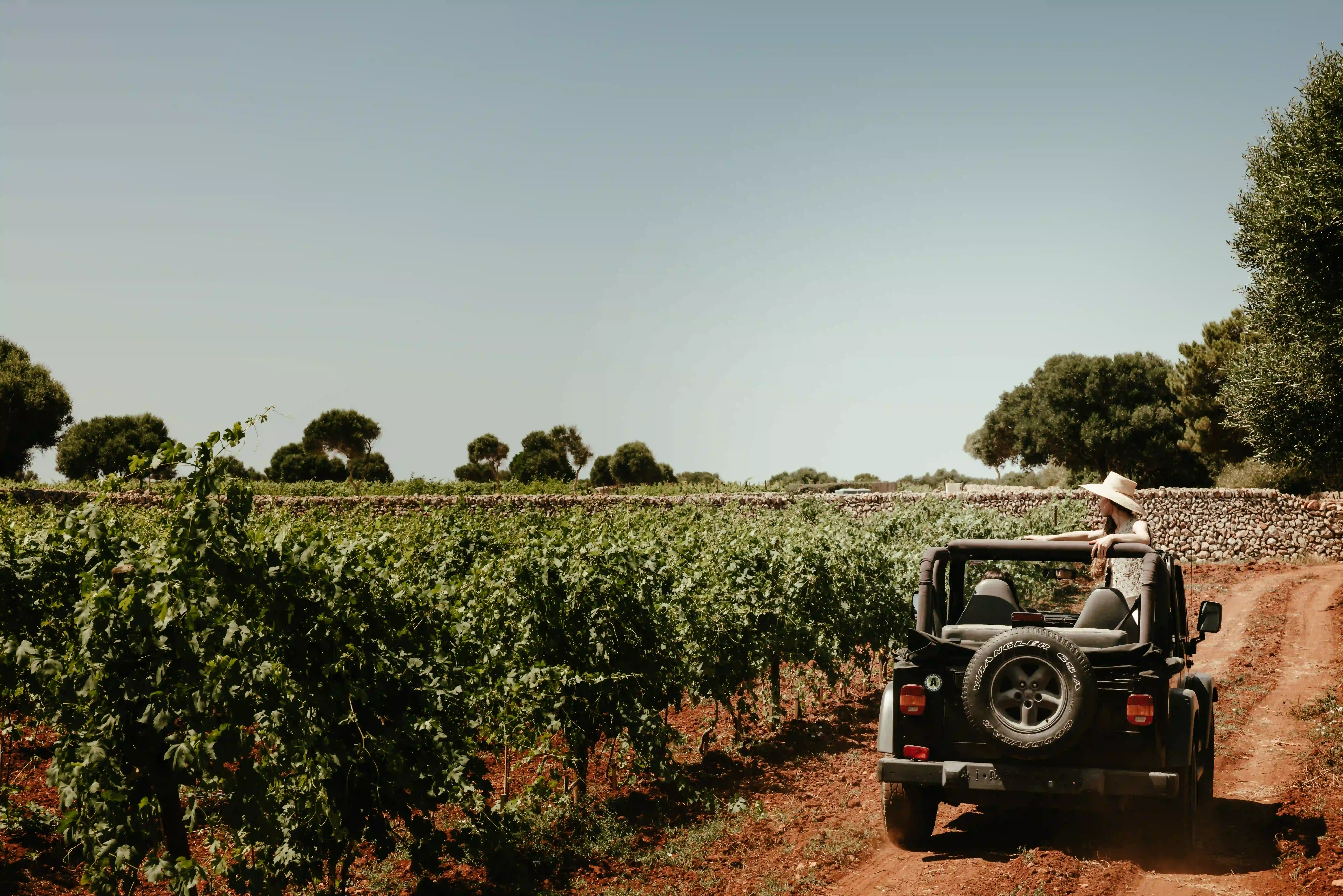 Una donna che indossa un cappello guida una jeep nera aperta su un sentiero sterrato attraverso un vigneto sotto un cielo limpido.