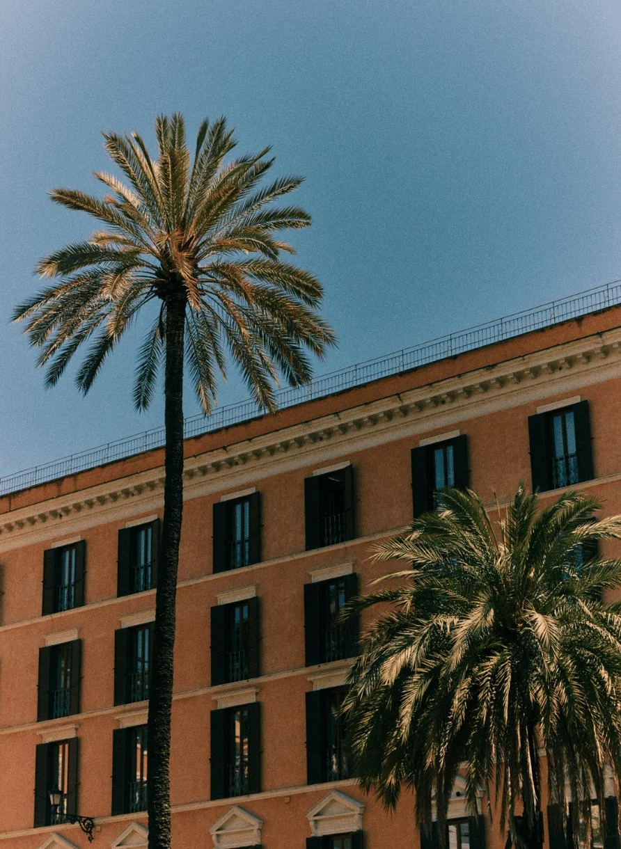 Tall palm trees in front of a multi-story building with shuttered windows under clear blue sky.