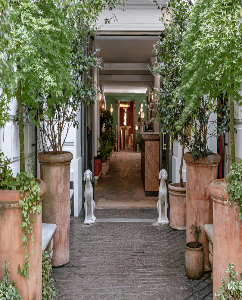 Plantas de folhas verdes em grandes vasos ladeiam um caminho de entrada com duas estátuas de cães que levam para dentro.