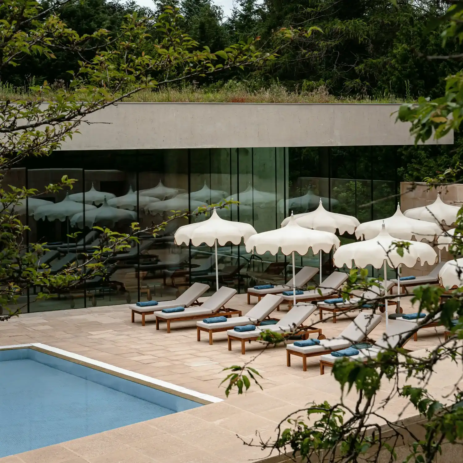 Piscina ao ar livre ao lado de espreguiçadeiras com guarda-sóis brancos e cenário florestal refletido no edifício de vidro.