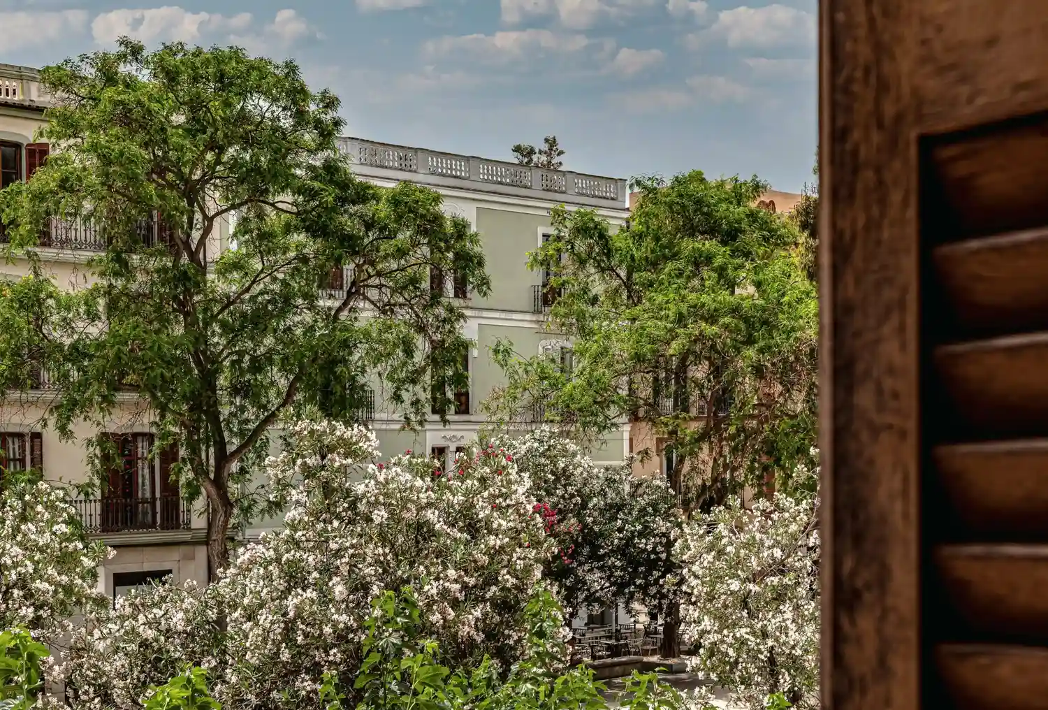 Vista de árvores verdes e arbustos com flores brancas com prédios de apartamentos ao fundo em um dia parcialmente nublado.