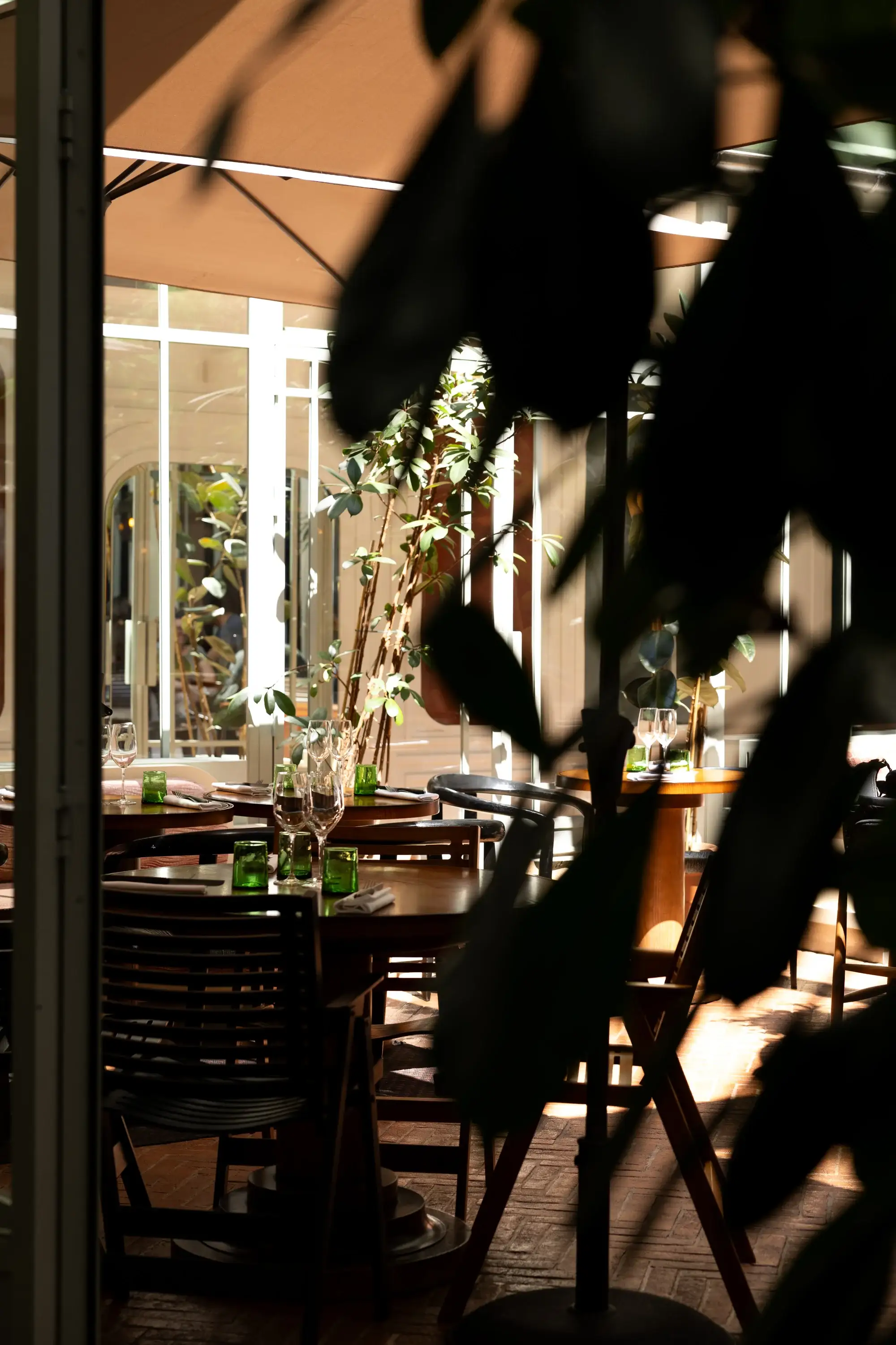 Interior de restaurante iluminado pelo sol com mesas de madeira, copos verdes, cadeiras e vasos de plantas.