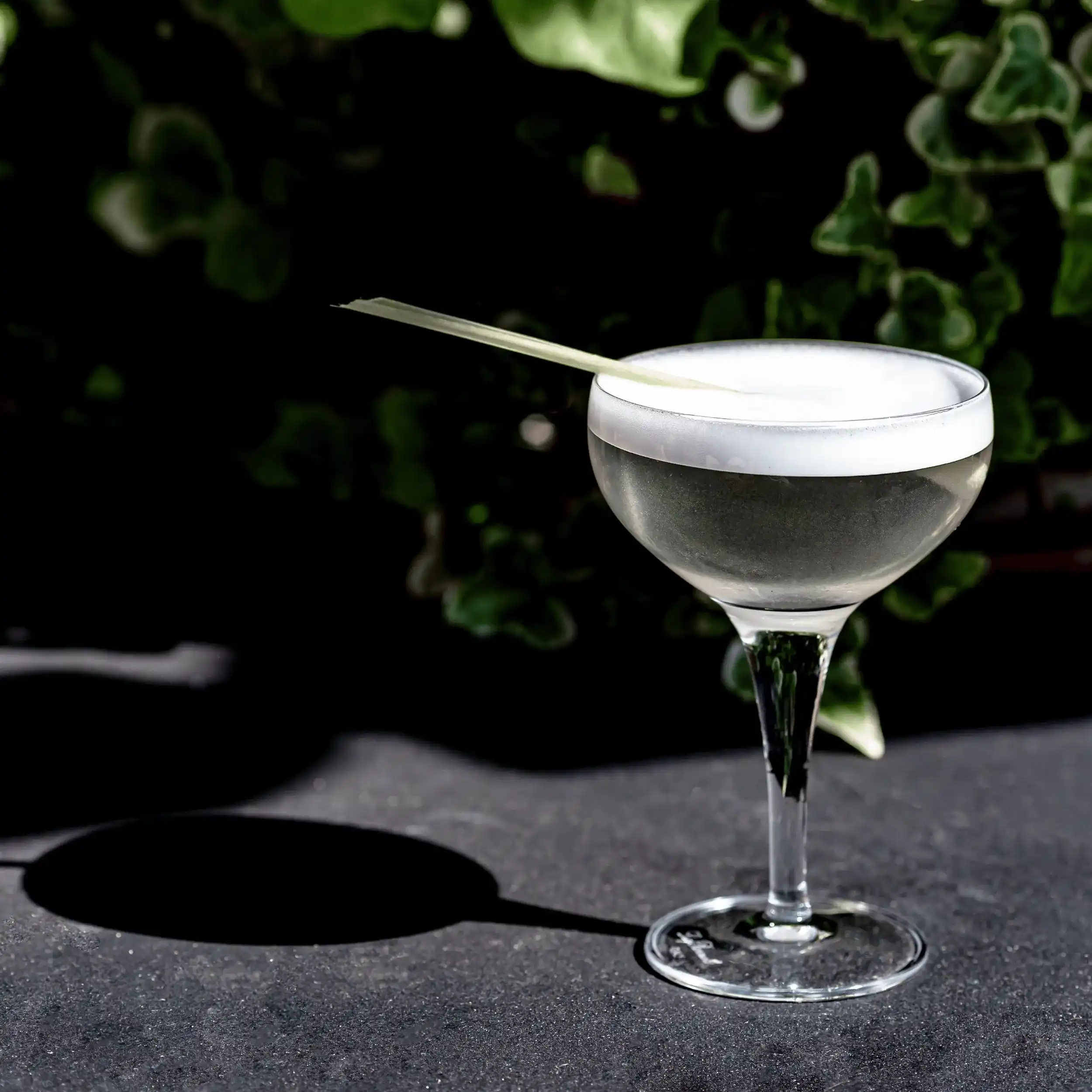 Coquetel em um copo cupê com espuma por cima e um agitador de madeira, projetando uma sombra na superfície.