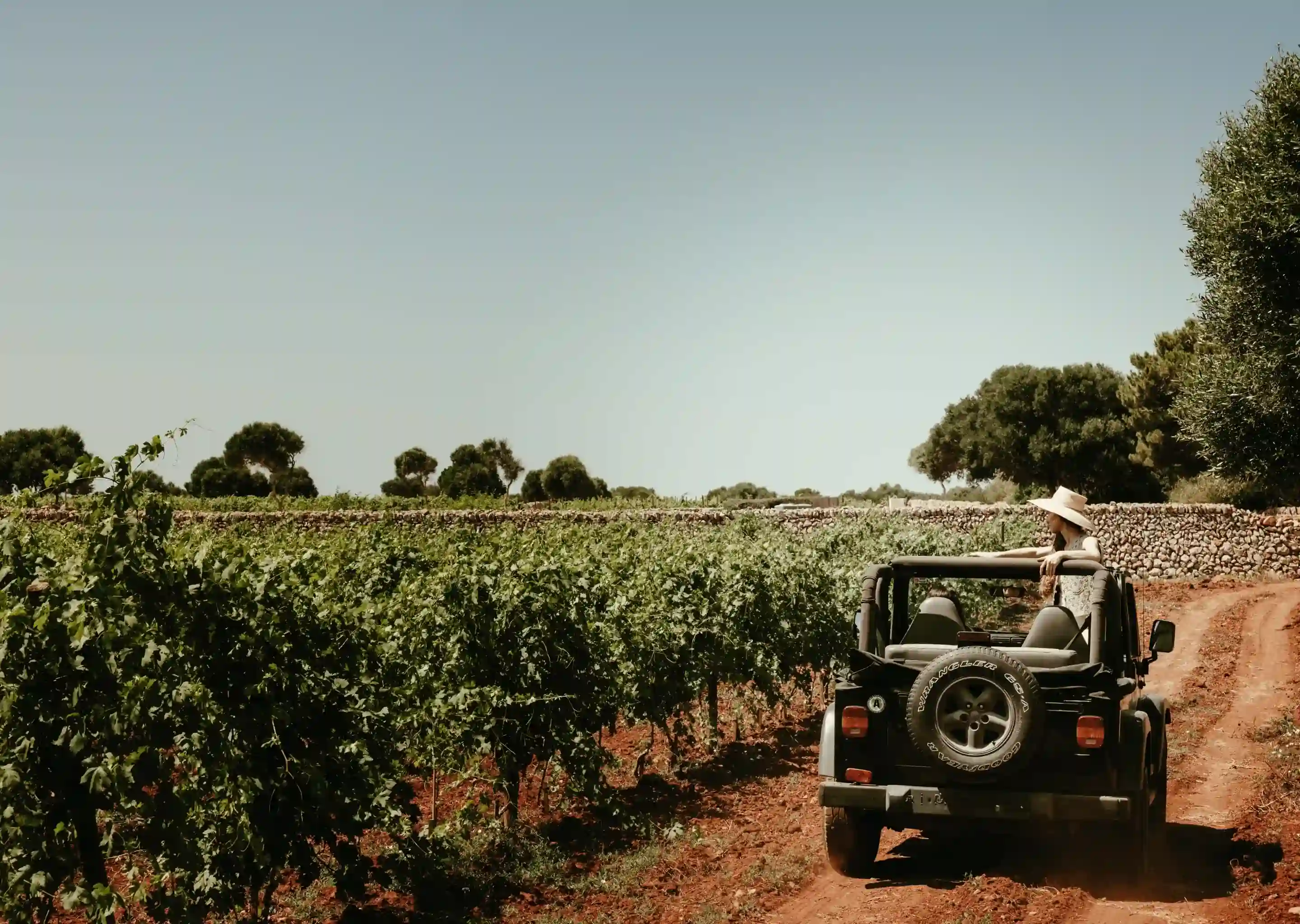 Persona che indossa un cappello che si sporge da una jeep nera su una strada sterrata accanto a filari verdi di vigneti.