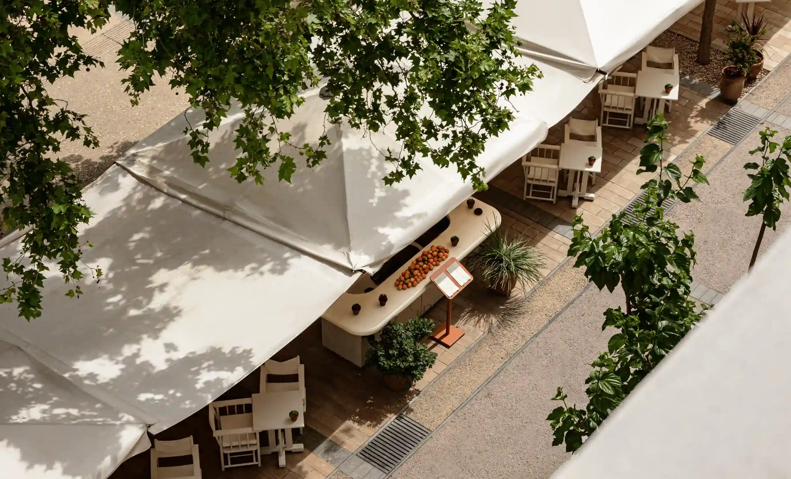 Terrazza caffetteria all'aperto con tavoli e sedie bianchi sotto grandi ombrelloni bianchi e rami di alberi verdi in alto.