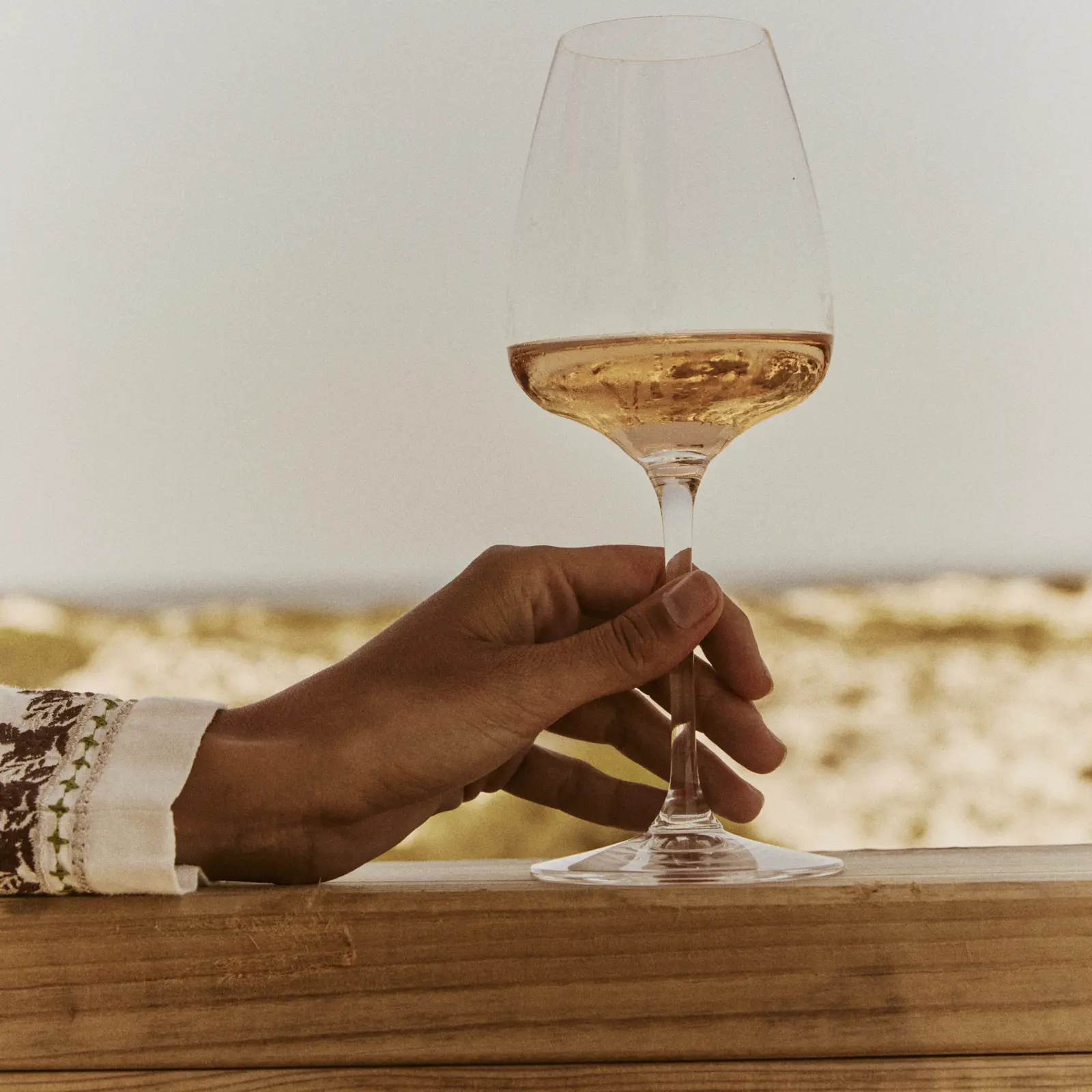 Tenendo in mano un bicchiere di vino con vino rosato appoggiato su una ringhiera di legno all'aperto.
