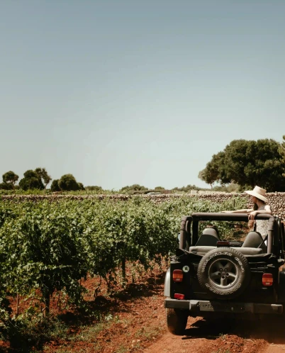 Femme portant un chapeau assise à l'arrière d'une jeep noire conduisant sur un chemin de terre à travers un vignoble sous un ciel clair.