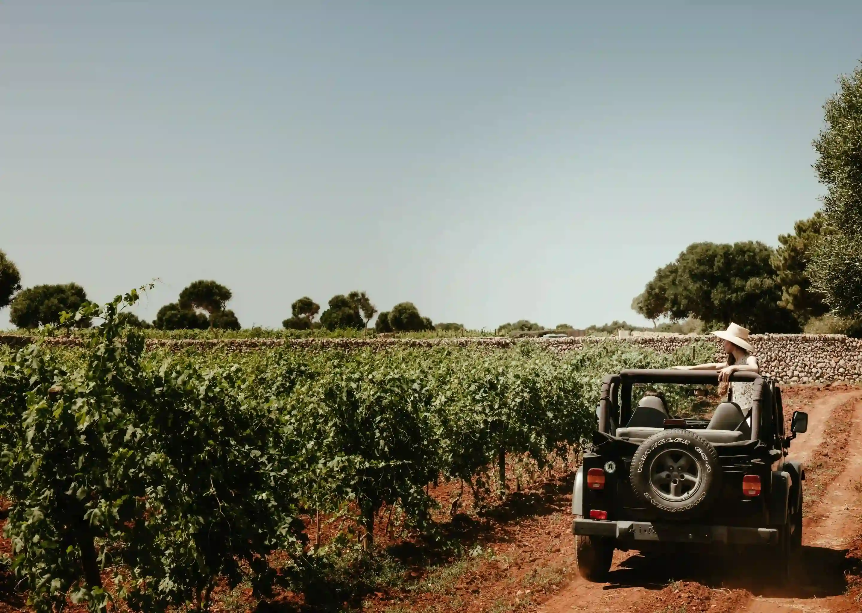 Femme au chapeau debout à travers le toit ouvrant d'une jeep noire conduisant sur un chemin de terre près d'un vignoble.