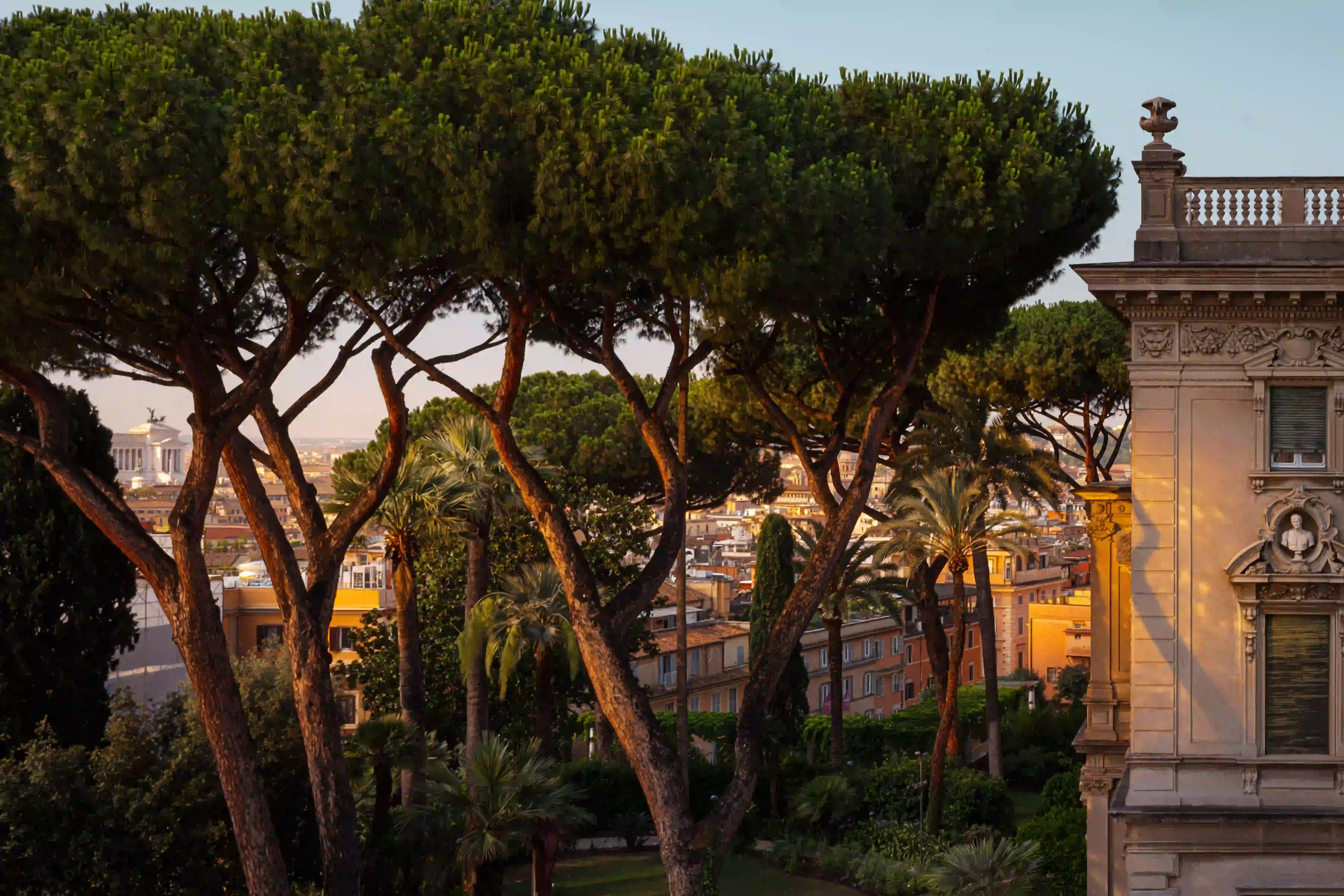 Veduta dei pini domestici e degli edifici storici di Roma al tramonto con il monumento a Vittorio Emanuele II visibile.
