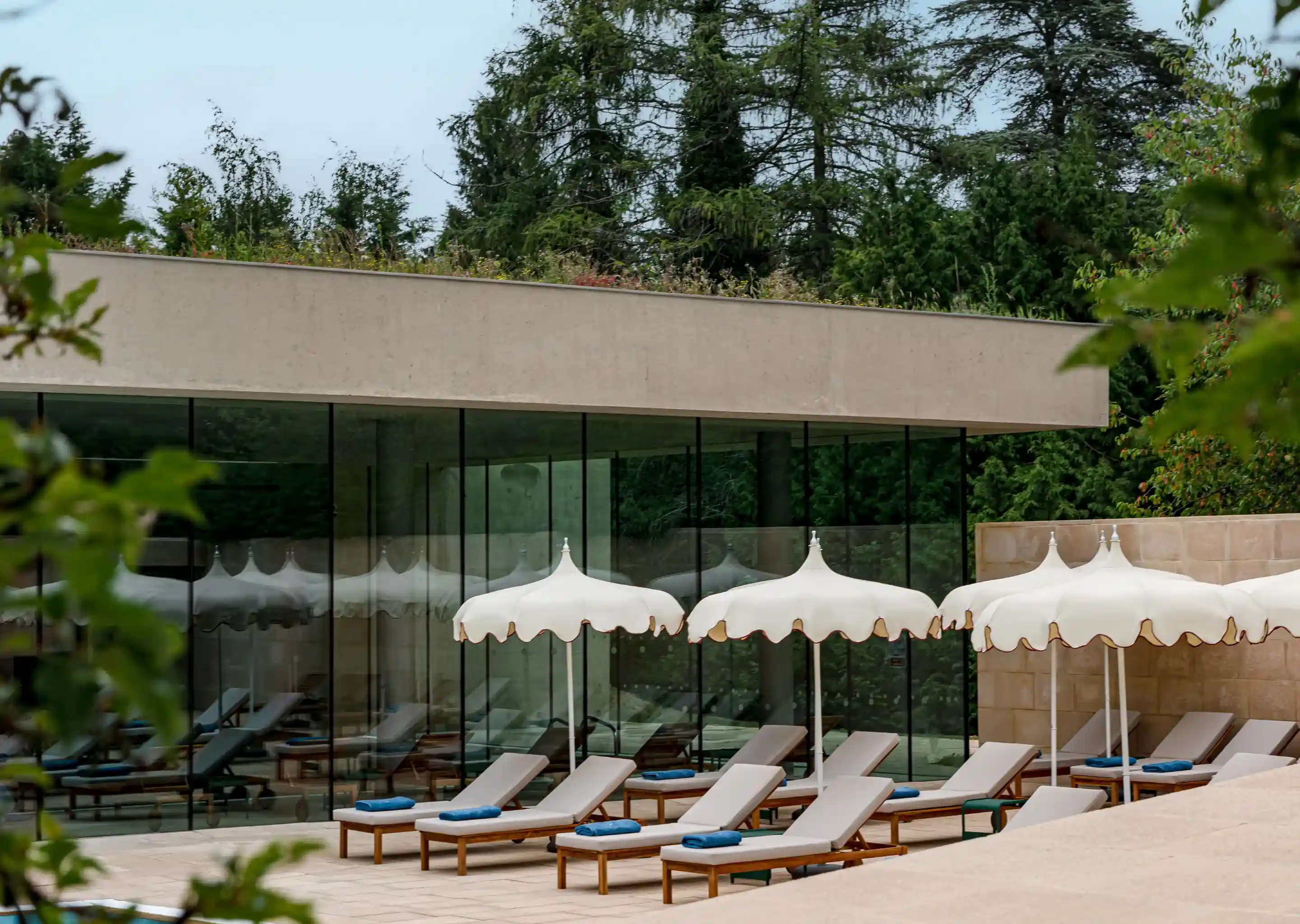Row of lounge chairs with blue towels under white scalloped umbrellas by glass building and trees.
